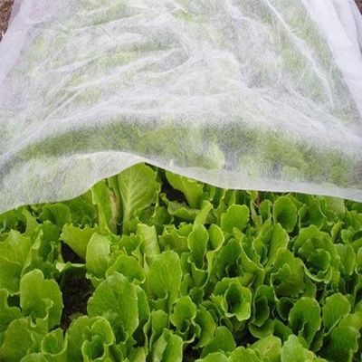 खरीदें Hygiene Agriculture Industry PP Nonwoven Fabric Hydropilic / Hydrophobic online manufacture