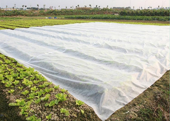 Environmentally Friendly PP Nonwoven Fabric Degradable For Agricultural Film