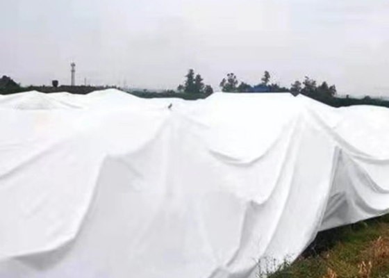 नाम