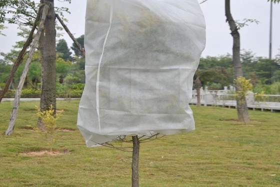 नाम