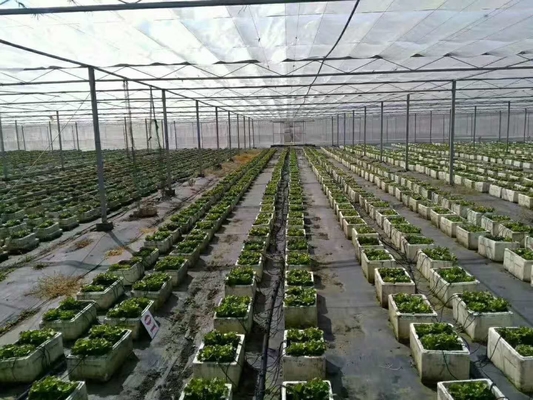 नाम