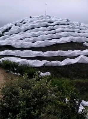 नाम