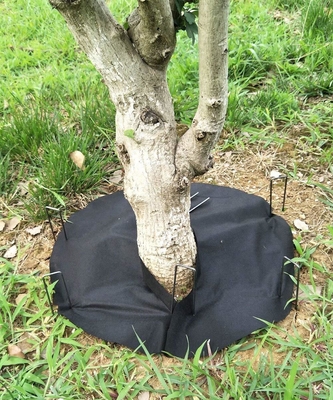 नाम