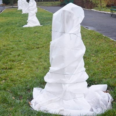 नाम