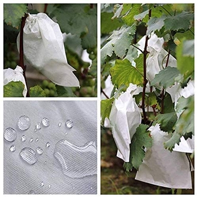 नाम